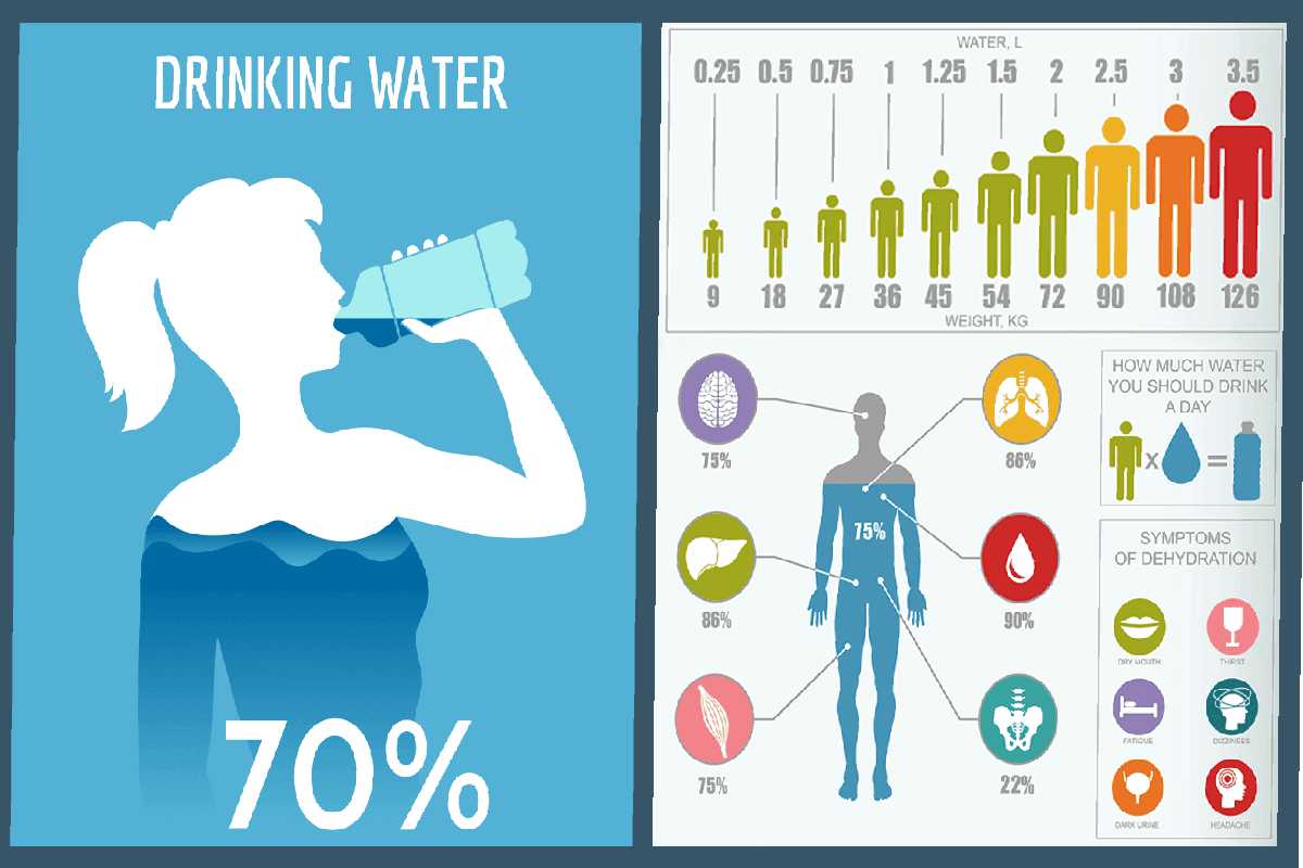 How Much Water Should I Drink a Day to Lose Weight? – Things To Know About Lose Weight