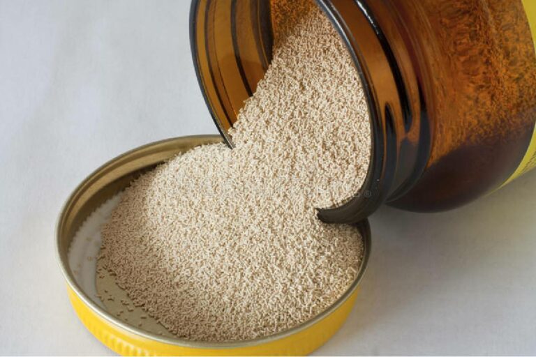 All About yeast